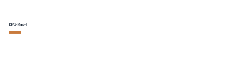 DIV 24 GmbH logo